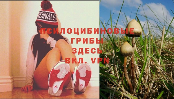 амфетамин Алексеевка