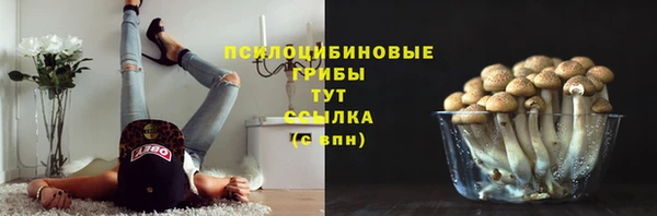 твердый Алексин