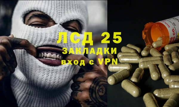 ГАЛЛЮЦИНОГЕННЫЕ ГРИБЫ Алзамай