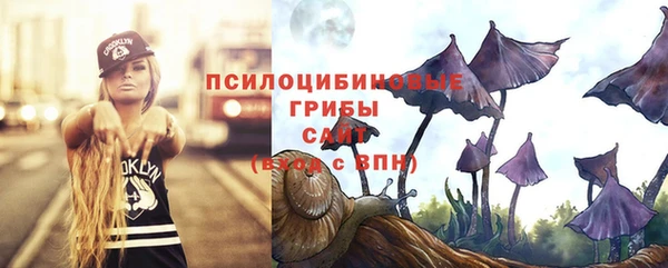 ГАЛЛЮЦИНОГЕННЫЕ ГРИБЫ Алзамай